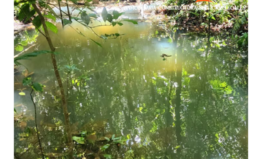 Finca en Venta – Yolombó, Antioquia