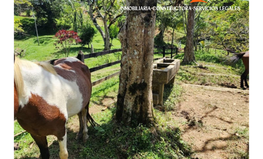 Finca en Venta – Yolombó, Antioquia