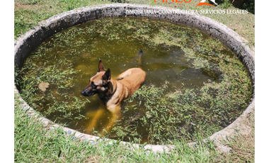 Finca en Venta – Yolombó, Antioquia