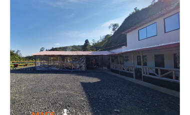 CASA Y FONDA EN SANTO DOMINGO ANTIOQUIA