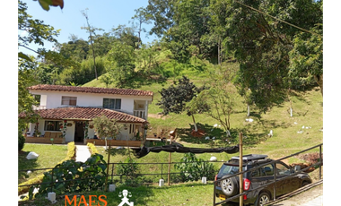 VENTA: FINCA HOTEL LOS CEDROS – CISNEROS, ANTIOQUIA