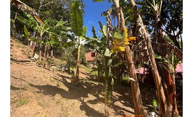 se venden lotes en Cisneros, Antioquia