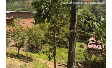 se venden lotes en Cisneros, Antioquia