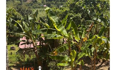 se venden lotes en Cisneros, Antioquia