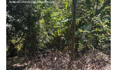 CASA LOTE EN VENTA – VEREDA LA ESPERANZA, SANTO DOMINGO ANTIOQUIA