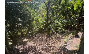 CASA LOTE EN VENTA – VEREDA LA ESPERANZA, SANTO DOMINGO ANTIOQUIA