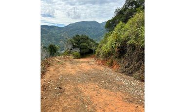 Lotes de terreno en Cisneros Antioquia