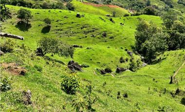 Lotes de terreno en Cisneros Antioquia