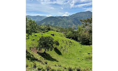 Lotes de terreno en Cisneros Antioquia