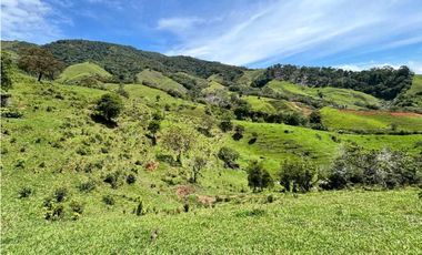 Lotes de terreno en Cisneros Antioquia