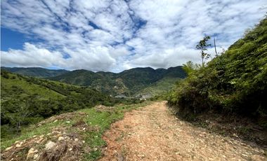 Lotes de terreno en Cisneros Antioquia