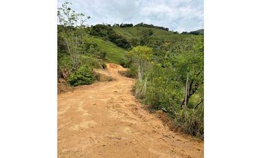 Lotes de terreno en Cisneros Antioquia