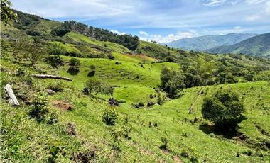 Lotes de terreno en Cisneros Antioquia