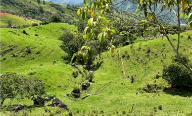 Lotes de terreno en Cisneros Antioquia
