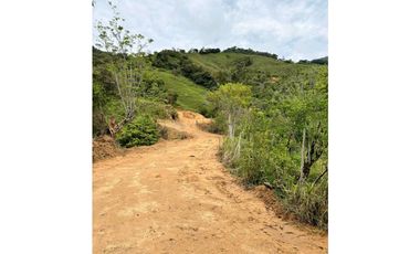Lotes de terreno en Cisneros Antioquia