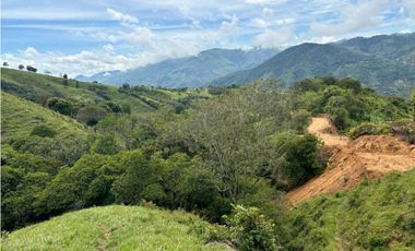Lotes de terreno en Cisneros Antioquia