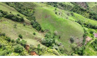 Lotes de terreno en Cisneros Antioquia