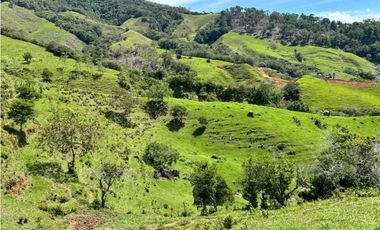 Lotes de terreno en Cisneros Antioquia