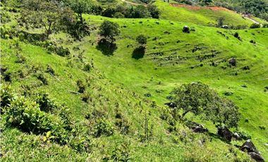 Lotes de terreno en Cisneros Antioquia