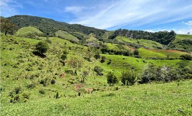 Lotes de terreno en Cisneros Antioquia