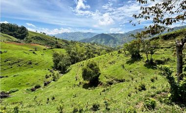 Lotes de terreno en Cisneros Antioquia