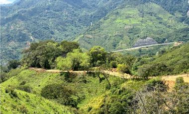 Lotes de terreno en Cisneros Antioquia