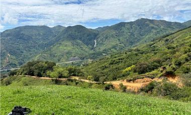 Lotes de terreno en Cisneros Antioquia