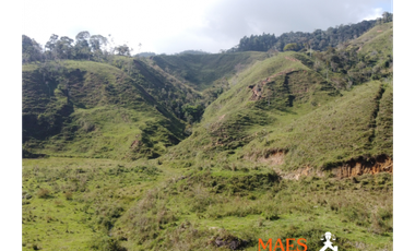 ¡LOTE EN VENTA! Vereda Alto Brasil, vía San Roque, Santo Domingo.