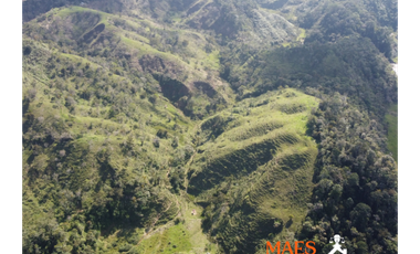 ¡LOTE EN VENTA! Vereda Alto Brasil, vía San Roque, Santo Domingo.