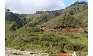 ¡LOTE EN VENTA! Vereda Alto Brasil, vía San Roque, Santo Domingo.