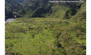 ¡LOTE EN VENTA! Vereda Alto Brasil, vía San Roque, Santo Domingo.