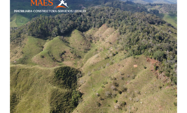 ¡LOTE EN VENTA! Vereda Alto Brasil, vía San Roque, Santo Domingo.