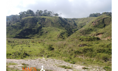 ¡LOTE EN VENTA! Vereda Alto Brasil, vía San Roque, Santo Domingo.