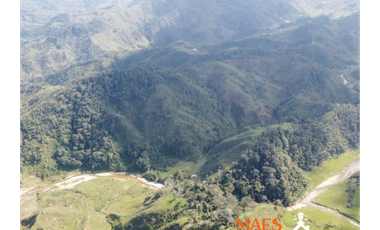 ¡LOTE EN VENTA! Vereda Alto Brasil, vía San Roque, Santo Domingo.