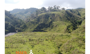 ¡LOTE EN VENTA! Vereda Alto Brasil, vía San Roque, Santo Domingo.