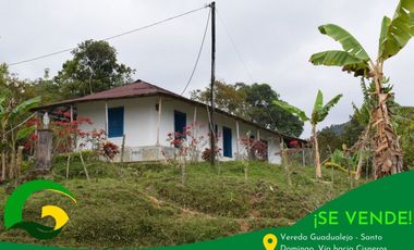 Finca en Cisneros Antioquia vereda guadualejo