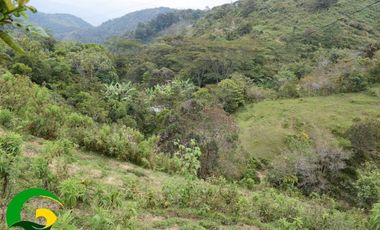 Finca en Cisneros Antioquia vereda guadualejo