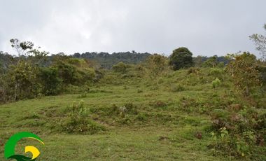 Finca en Cisneros Antioquia vereda guadualejo