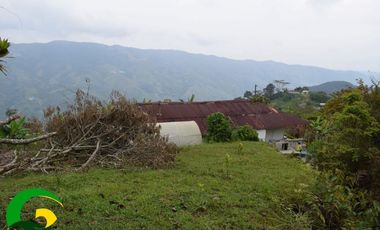 Finca en Cisneros Antioquia vereda guadualejo