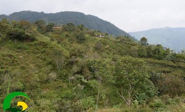 Finca en Cisneros Antioquia vereda guadualejo