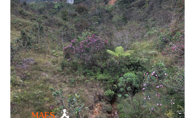 VENTA DE LOTE CON GRAN POTENCIAL – SANTO DOMINGO, ANTIOQUIA