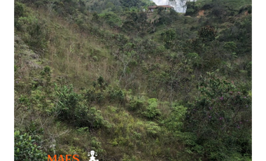 VENTA DE LOTE CON GRAN POTENCIAL – SANTO DOMINGO, ANTIOQUIA