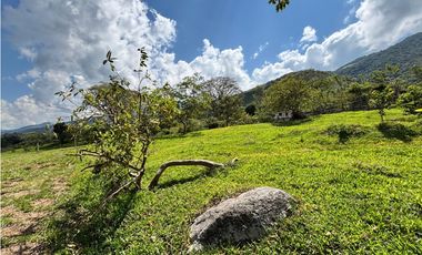 Lotes en Cisneros sector el uno