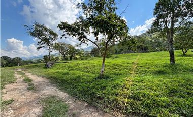Lotes en Cisneros sector el uno