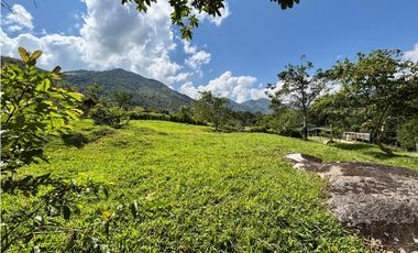 Lotes en Cisneros sector el uno
