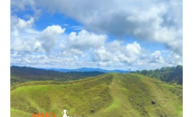 Espectacular lote en venta – Vereda Bellavista, Cisneros