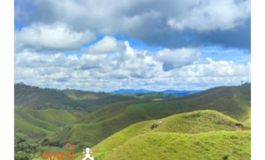 Espectacular lote en venta – Vereda Bellavista, Cisneros