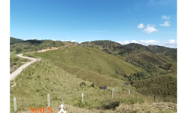 Espectacular lote en venta – Vereda Bellavista, Cisneros