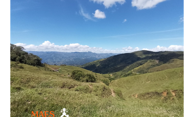 Espectacular lote en venta – Vereda Bellavista, Cisneros