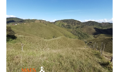 Espectacular lote en venta – Vereda Bellavista, Cisneros